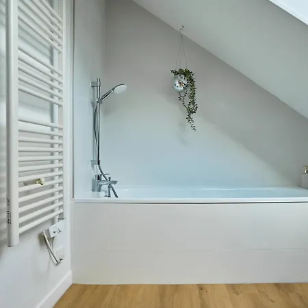 Appartement Paillettes Fever, Maison Avec Karaoke, 3 Croix